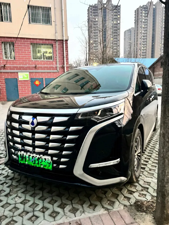 2024 Denza D9 1.5T 139HP L4 E-CVT PHEV 40KWH,autocango,china used car exporter,china ev exporter,chinese used car exporter,chinese used ev exporter