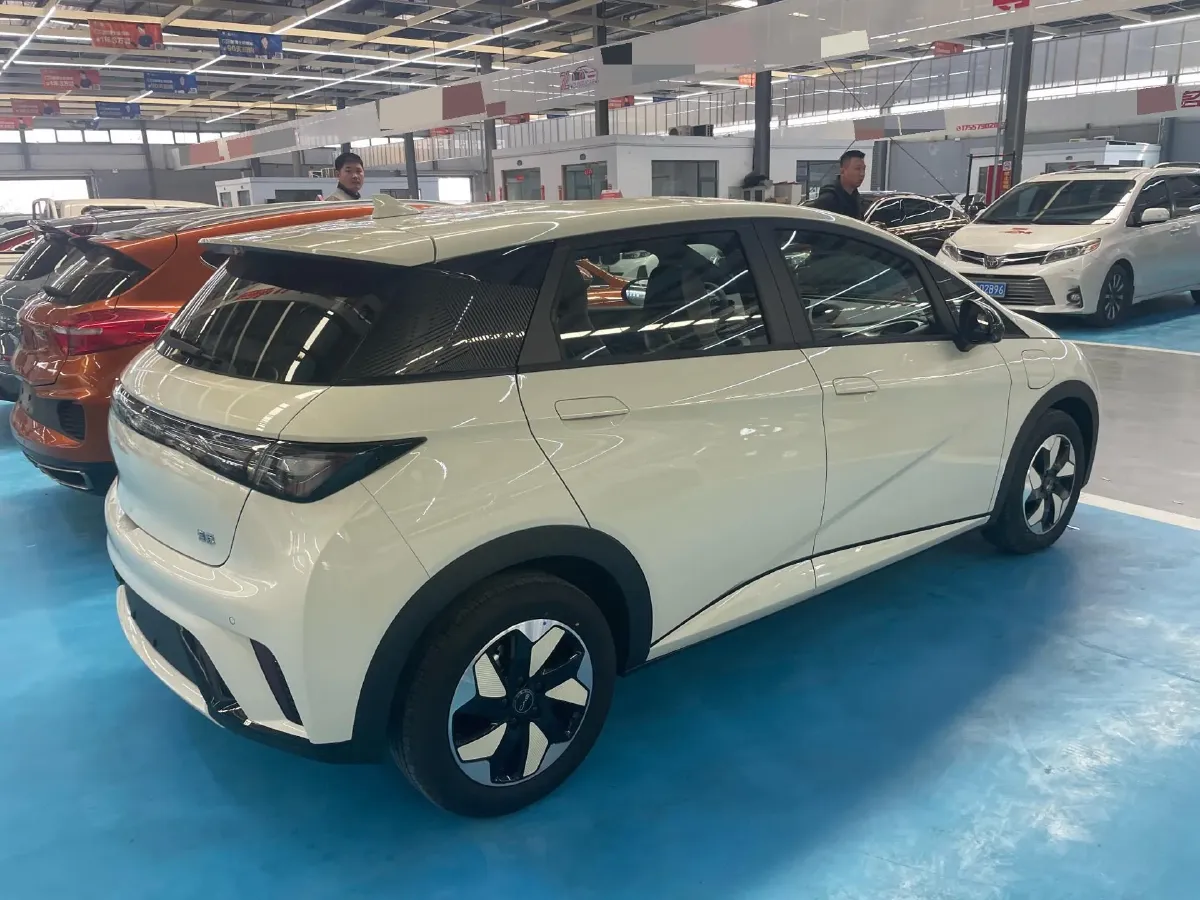 2025 BYD Dolphin BEV 44.928KWH,autocango,china used car exporter,china ev exporter,chinese used car exporter,chinese used ev exporter