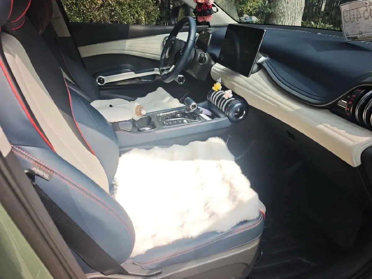 2022 Roewe RX5 MAX 1.5T 181HP L4 6AT,autocango,china used car exporter,china ev exporter,chinese used car exporter,chinese used ev exporter