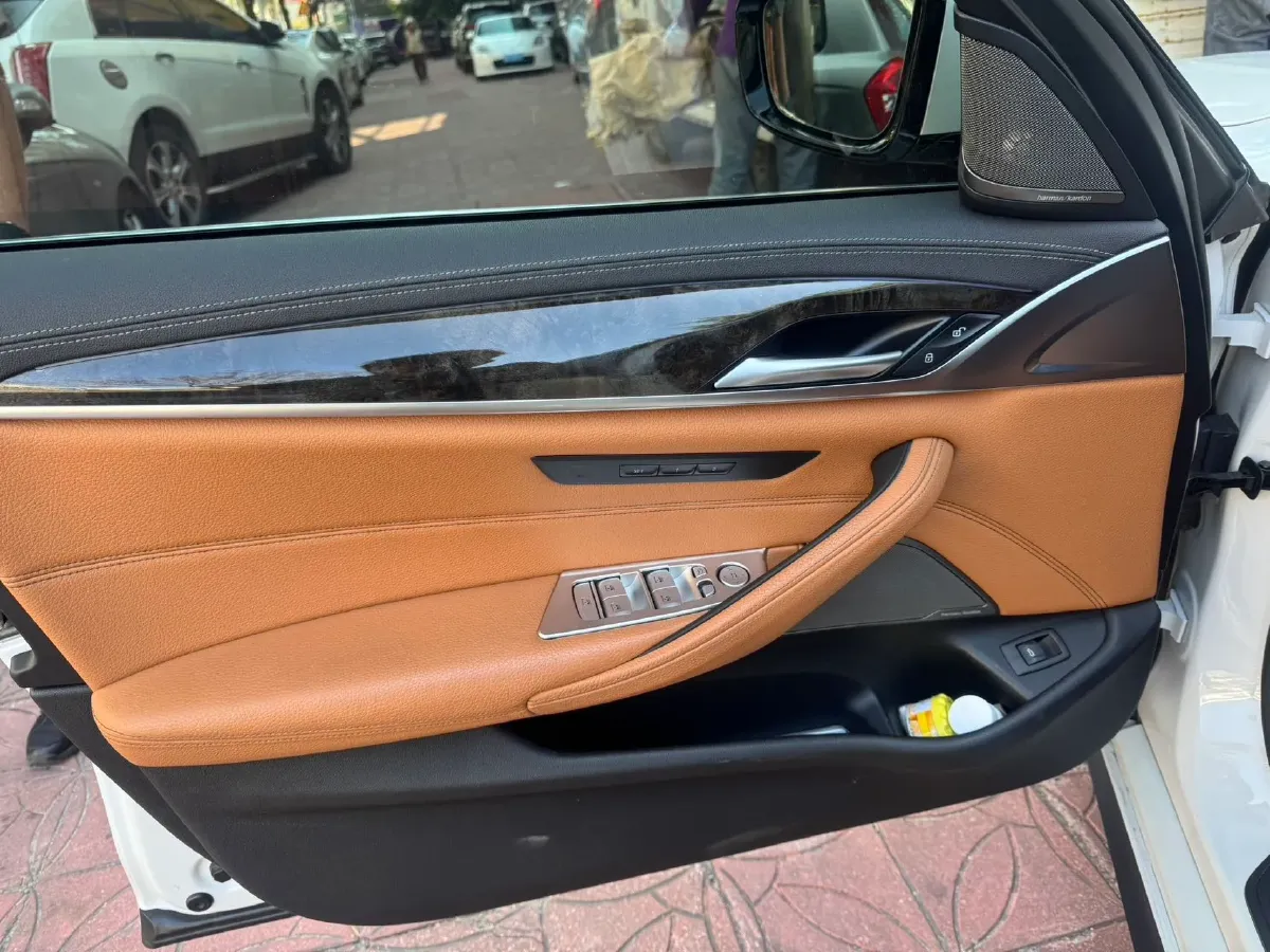 2020 BMW 5 Series 2.0T 252HP L4 8AT,autocango,china used car exporter,china ev exporter,chinese used car exporter,chinese used ev exporter