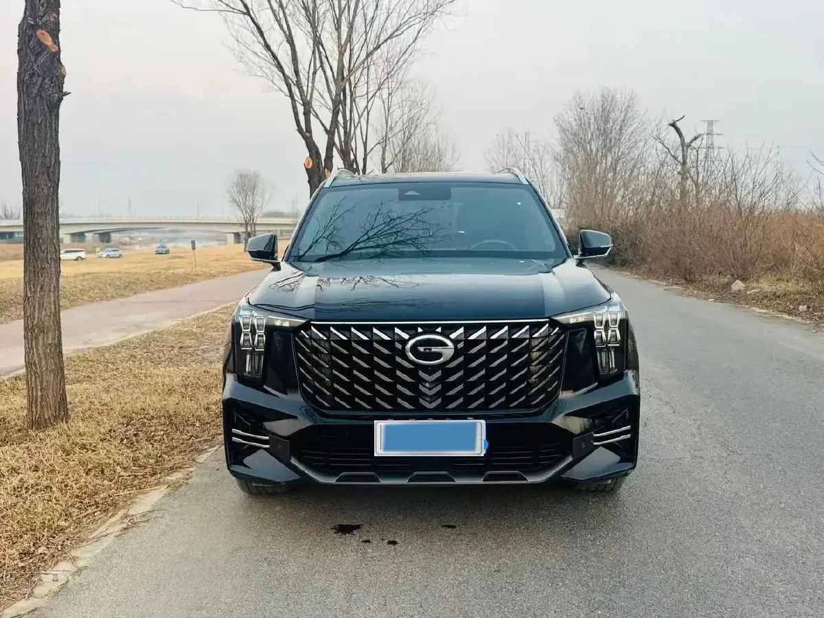 2022 GAC Trumpchi GS8 2.0T 252HP L4 8AT,autocango,china used car exporter,china ev exporter,chinese used car exporter,chinese used ev exporter