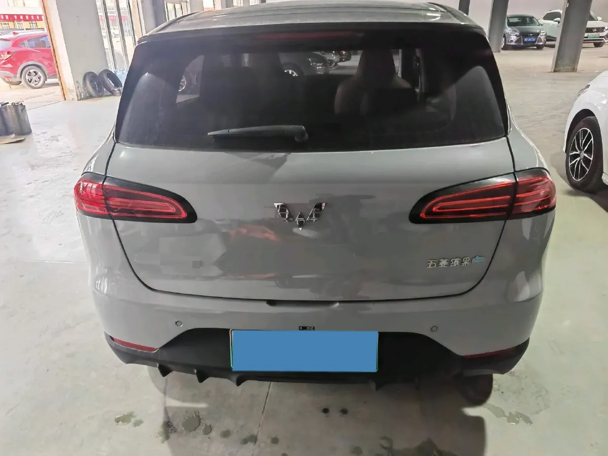 2024 WuLing BinGuoPLUS BEV 50.6KWH,autocango,china used car exporter,china ev exporter,chinese used car exporter,chinese used ev exporter