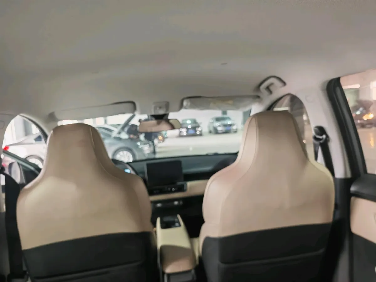 2024 WuLing BinGuoPLUS BEV 50.6KWH,autocango,china used car exporter,china ev exporter,chinese used car exporter,chinese used ev exporter