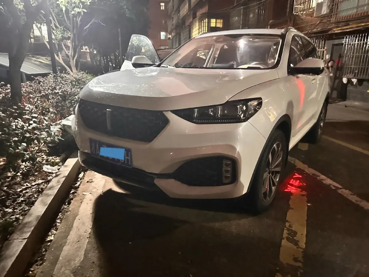 2020 WEY VV6 2.0T 227HP L4 7DCT,autocango,china used car exporter,china ev exporter,chinese used car exporter,chinese used ev exporter