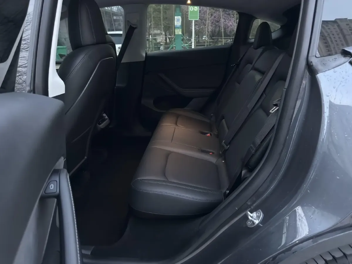 2021 Tesla Model 3 BEV 76.8KWH,autocango,china used car exporter,china ev exporter,chinese used car exporter,chinese used ev exporter