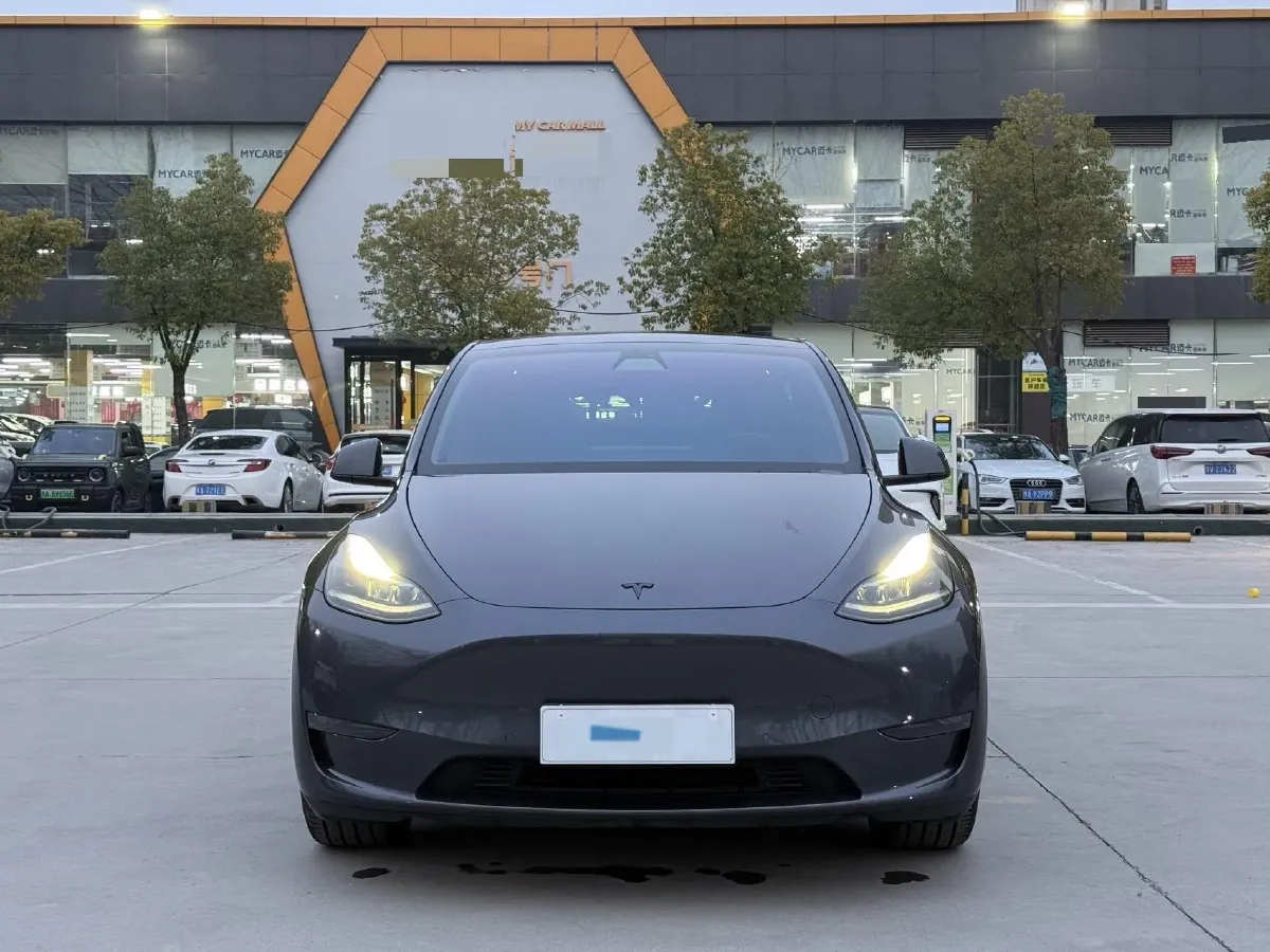 2021 Tesla Model 3 BEV 76.8KWH,autocango,china used car exporter,china ev exporter,chinese used car exporter,chinese used ev exporter