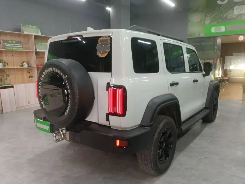 2021 Tank 300 2.0T 227HP L4 8AT,autocango,china used car exporter,china ev exporter,chinese used car exporter,chinese used ev exporter