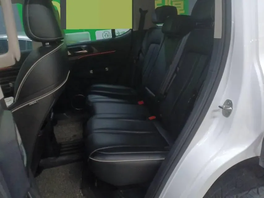 2021 Tank 300 2.0T 227HP L4 8AT,autocango,china used car exporter,china ev exporter,chinese used car exporter,chinese used ev exporter