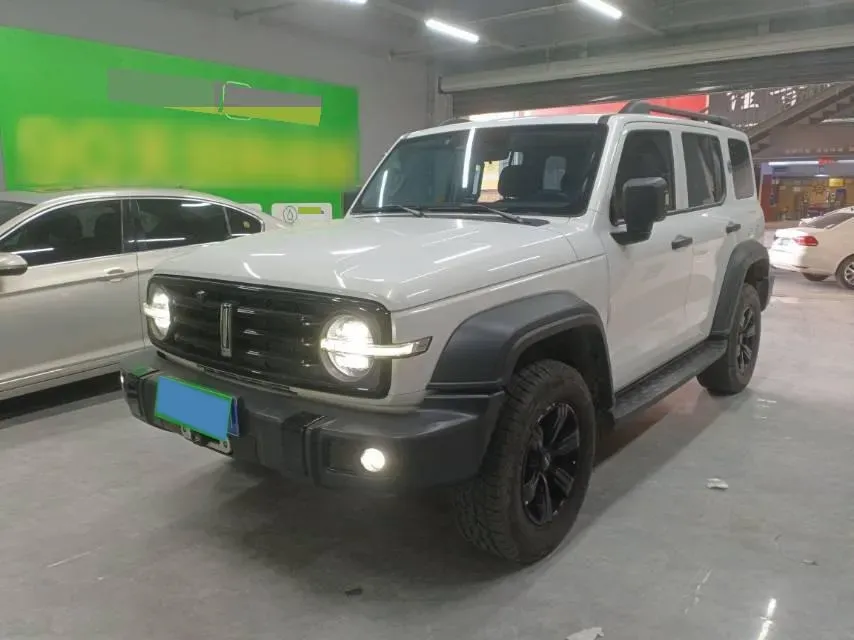 2021 Tank 300 2.0T 227HP L4 8AT,autocango,china used car exporter,china ev exporter,chinese used car exporter,chinese used ev exporter