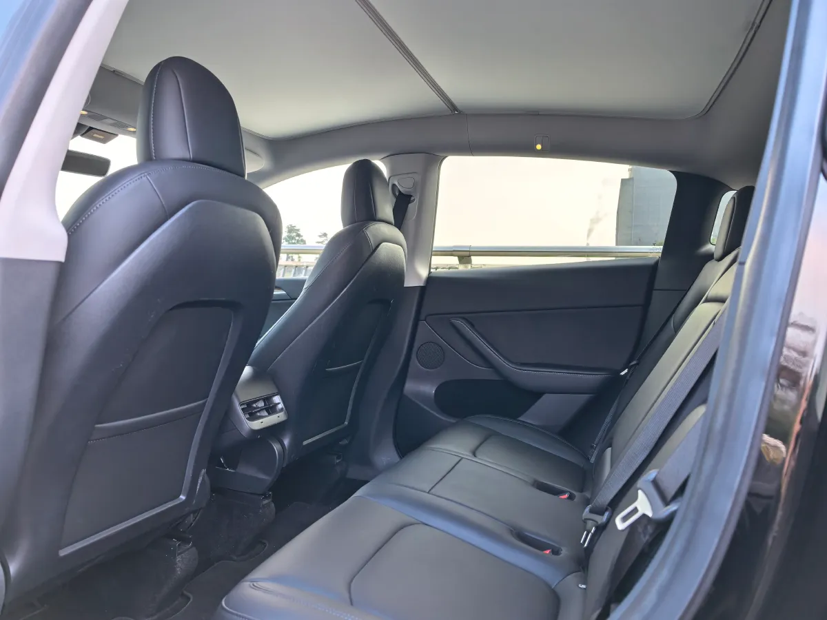 2021 Tesla Model 3 BEV 76.8KWH,autocango,china used car exporter,china ev exporter,chinese used car exporter,chinese used ev exporter