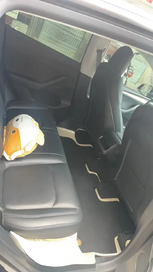 2021 Tesla Model Y BEV 60KWH,autocango,china used car exporter,china ev exporter,chinese used car exporter,chinese used ev exporter