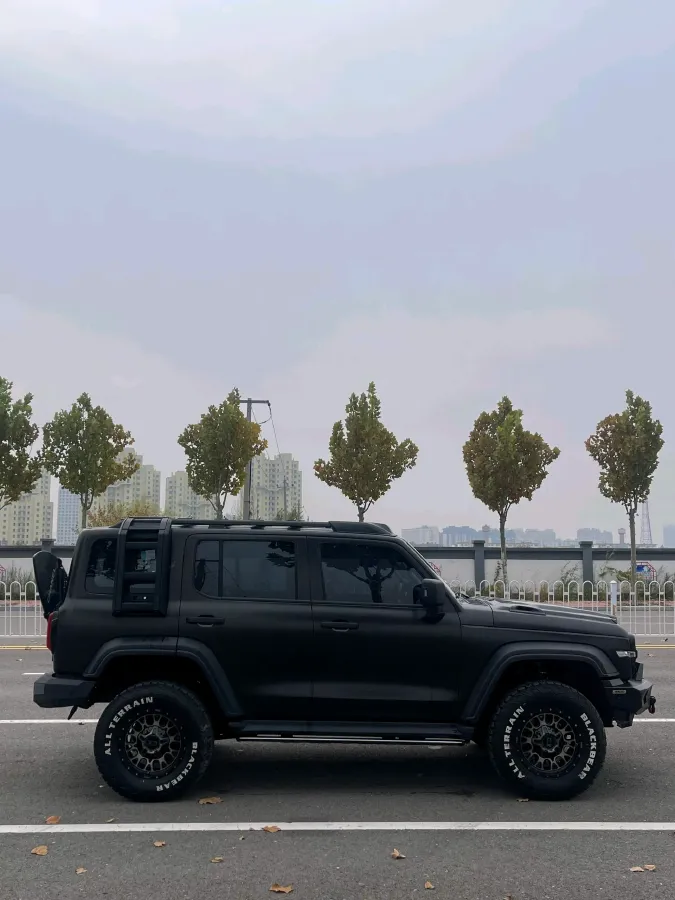 2023 Tank 300 2.0T 227HP L4 8AT,autocango,china used car exporter,china ev exporter,chinese used car exporter,chinese used ev exporter