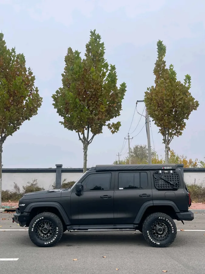 2023 Tank 300 2.0T 227HP L4 8AT,autocango,china used car exporter,china ev exporter,chinese used car exporter,chinese used ev exporter