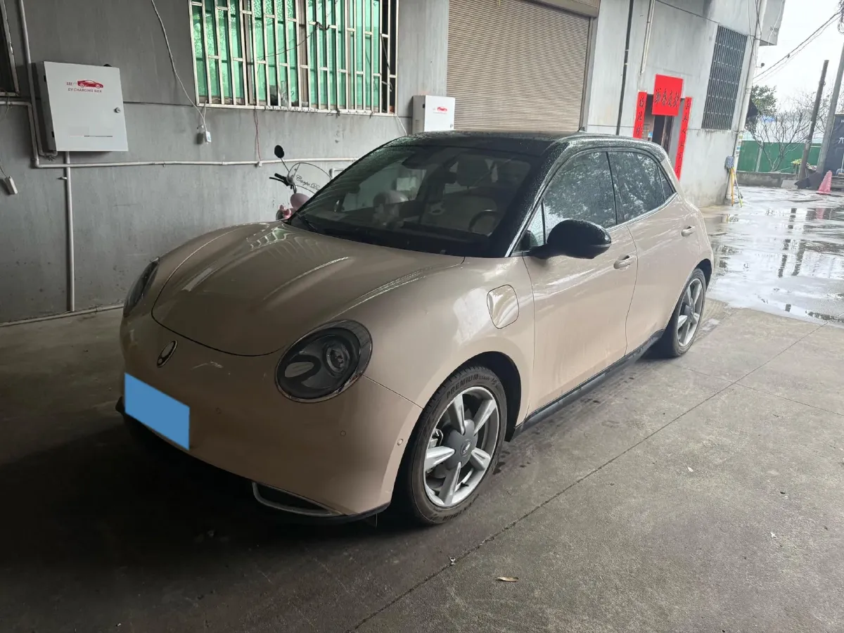 2021 Ora FunkyCat BEV 45.99KWH,autocango,china used car exporter,china ev exporter,chinese used car exporter,chinese used ev exporter
