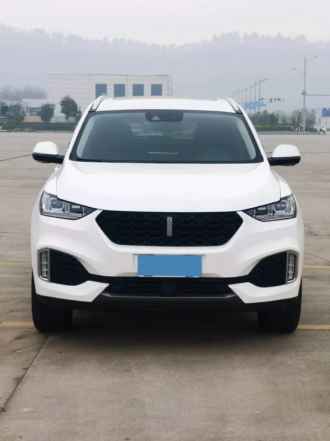 2018 WEY VV6 2.0T 197HP L4 7DCT,autocango,china used car exporter,china ev exporter,chinese used car exporter,chinese used ev exporter