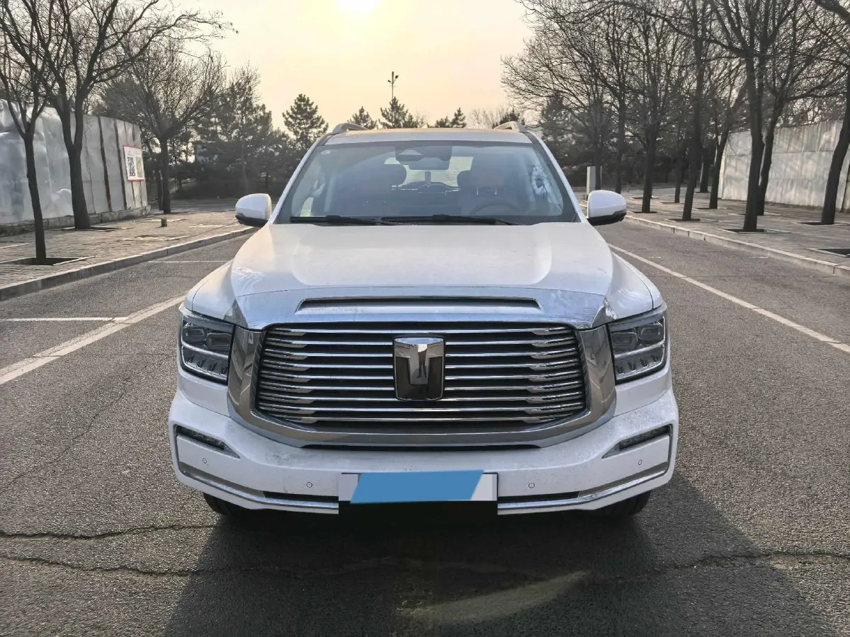 2025 Tank 500 2.0T 252HP L4 3DHT PHEV 59.05KWH,autocango,china used car exporter,china ev exporter,chinese used car exporter,chinese used ev exporter
