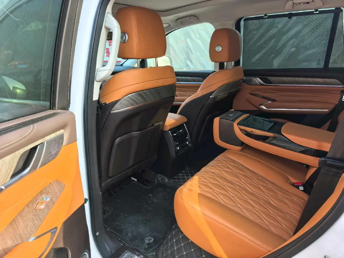 2025 Tank 500 2.0T 252HP L4 3DHT PHEV 59.05KWH,autocango,china used car exporter,china ev exporter,chinese used car exporter,chinese used ev exporter