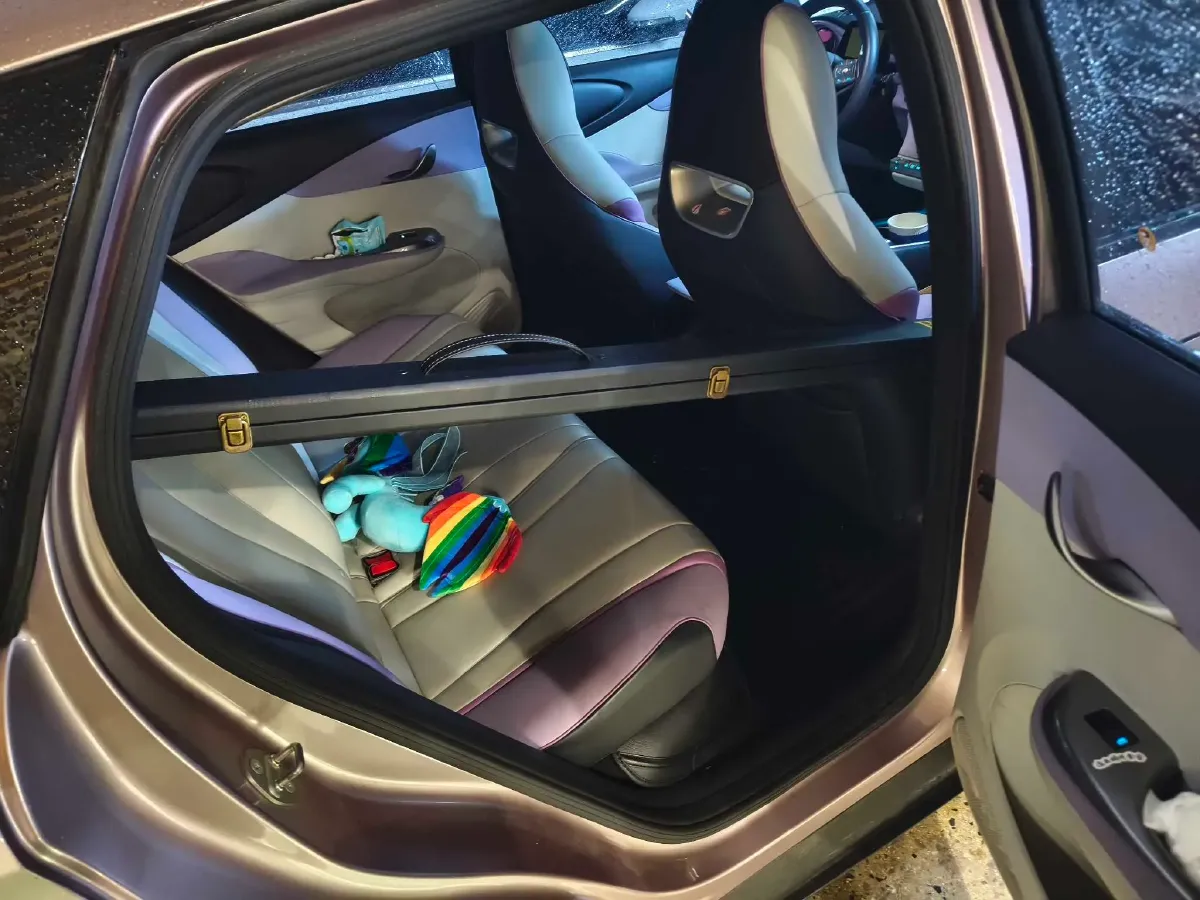 2021 BYD Yuan Pro BEV 50.1KWH,autocango,china used car exporter,china ev exporter,chinese used car exporter,chinese used ev exporter