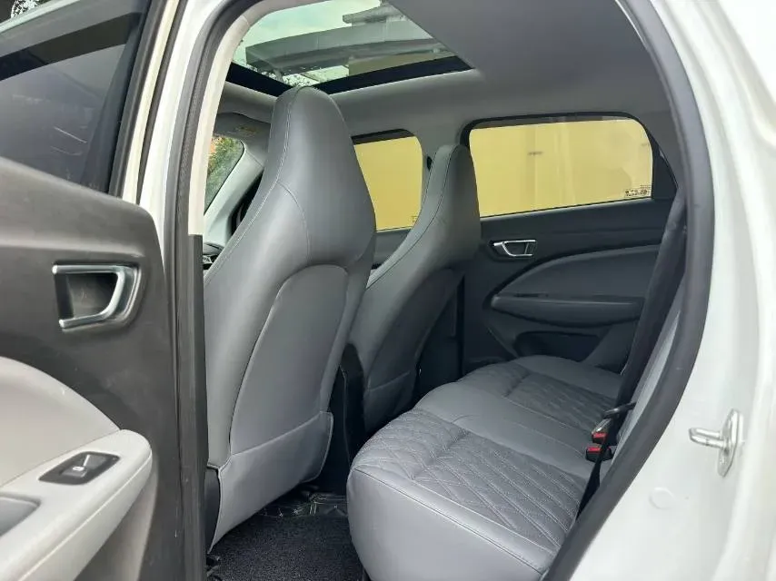 2021 Leapmotor T03 BEV 38KWH,autocango,china used car exporter,china ev exporter,chinese used car exporter,chinese used ev exporter