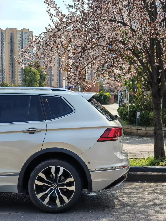 2021 Volkswagen Tiguan L 2.0T 186HP L4 7DCT,autocango,china used car exporter,china ev exporter,chinese used car exporter,chinese used ev exporter