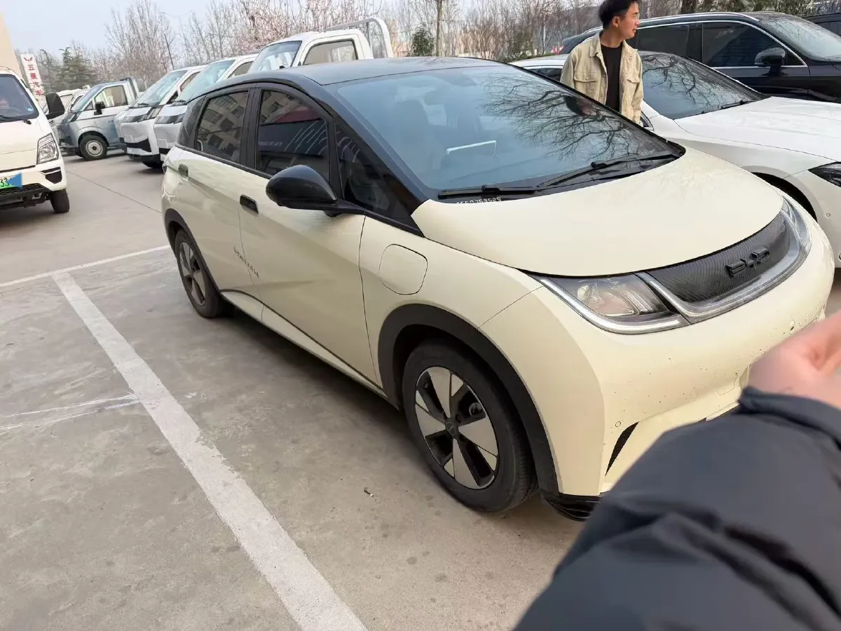2023 BYD Dolphin BEV 44.928KWH,autocango,china used car exporter,china ev exporter,chinese used car exporter,chinese used ev exporter
