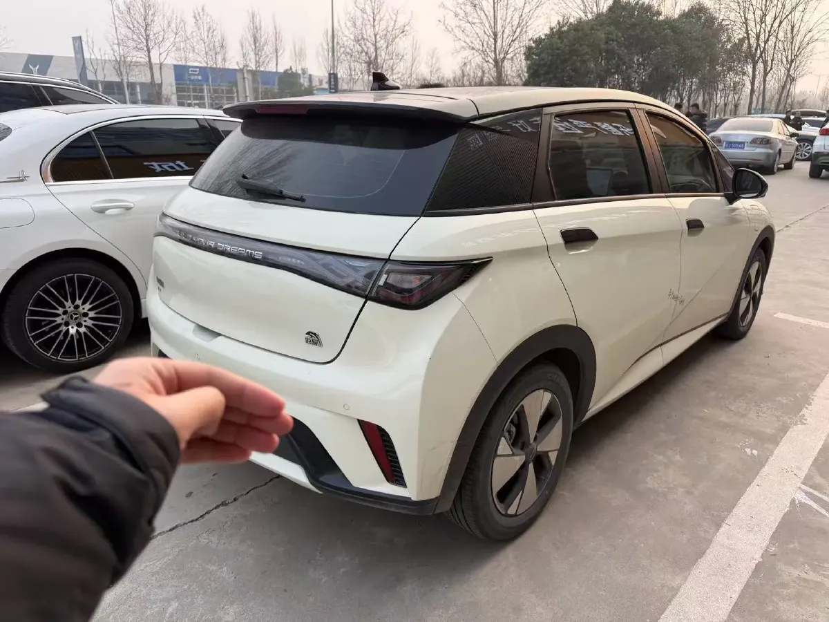 2023 BYD Dolphin BEV 44.928KWH,autocango,china used car exporter,china ev exporter,chinese used car exporter,chinese used ev exporter