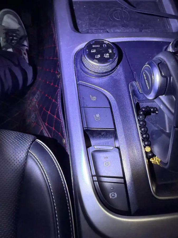 2023 Tank 300 2.0T 227HP L4 8AT,autocango,china used car exporter,china ev exporter,chinese used car exporter,chinese used ev exporter