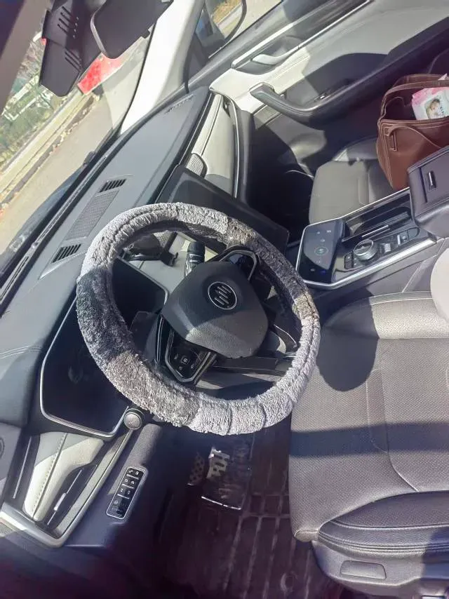 2020 Weltmeister EX5 BEV 52.56KWH,autocango,china used car exporter,china ev exporter,chinese used car exporter,chinese used ev exporter