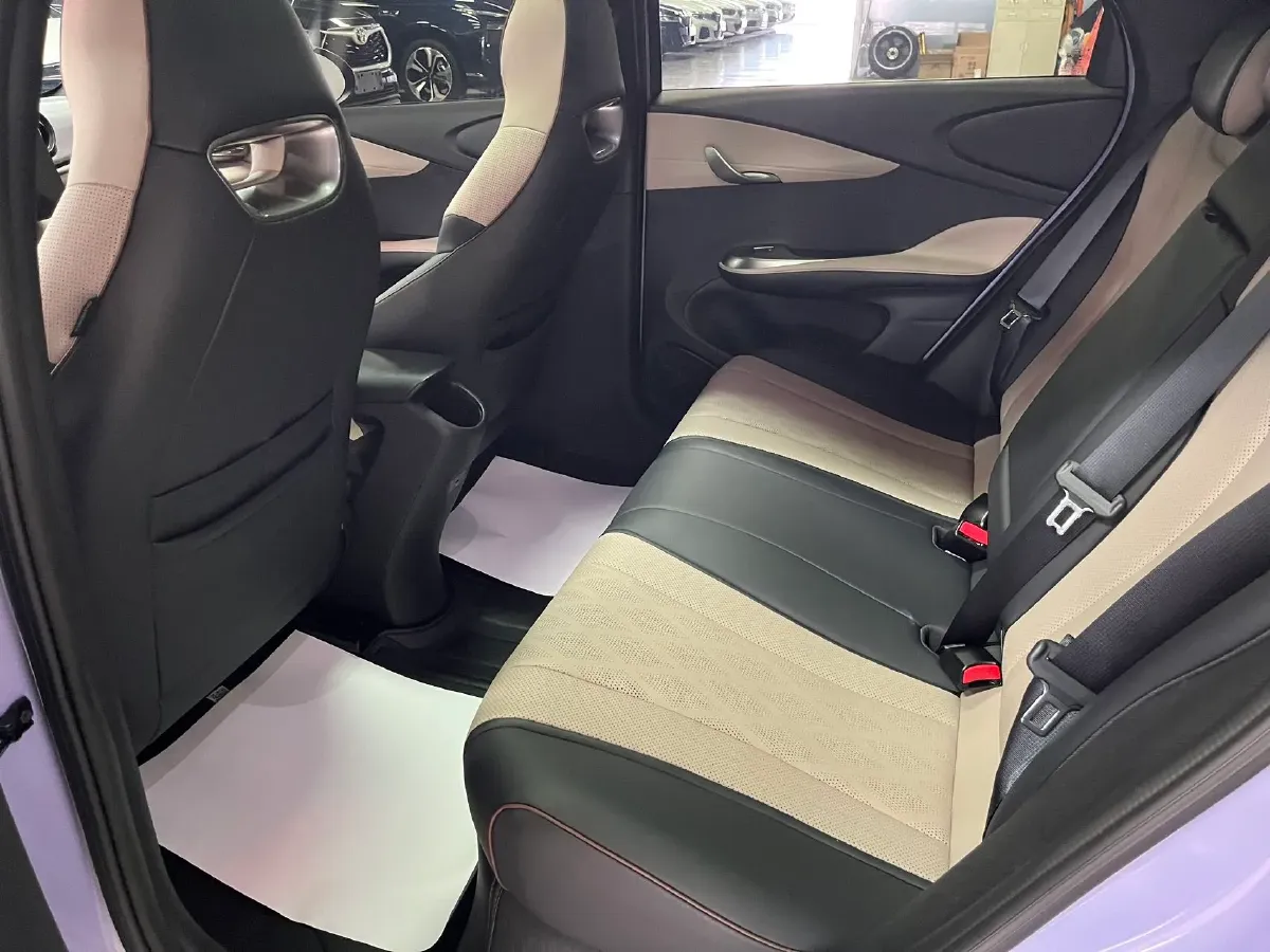 2023 BYD Dolphin BEV 44.928KWH,autocango,china used car exporter,china ev exporter,chinese used car exporter,chinese used ev exporter