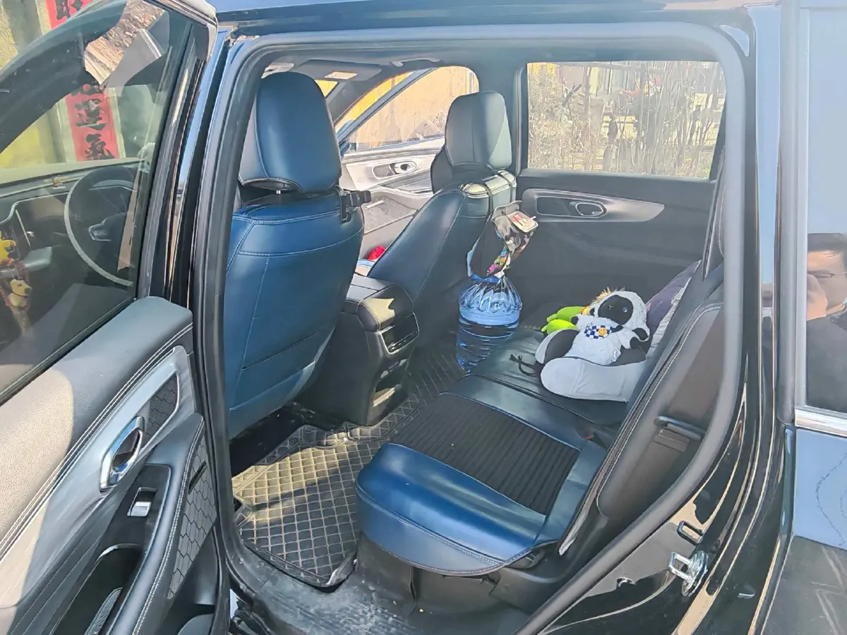 2022 GAC Trumpchi GS8 2.0T 252HP L4 8AT,autocango,china used car exporter,china ev exporter,chinese used car exporter,chinese used ev exporter