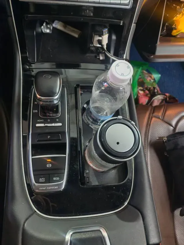 2021 GAC Trumpchi GS4 Plus 2.0T 252HP L4 6AT,autocango,china used car exporter,china ev exporter,chinese used car exporter,chinese used ev exporter