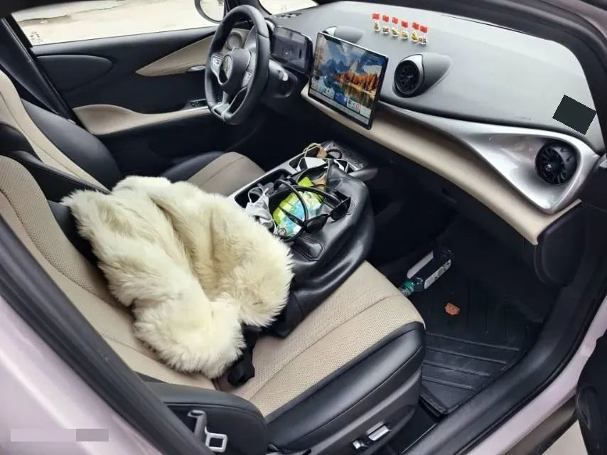 2025 BYD Dolphin BEV 45.12KWH,autocango,china used car exporter,china ev exporter,chinese used car exporter,chinese used ev exporter