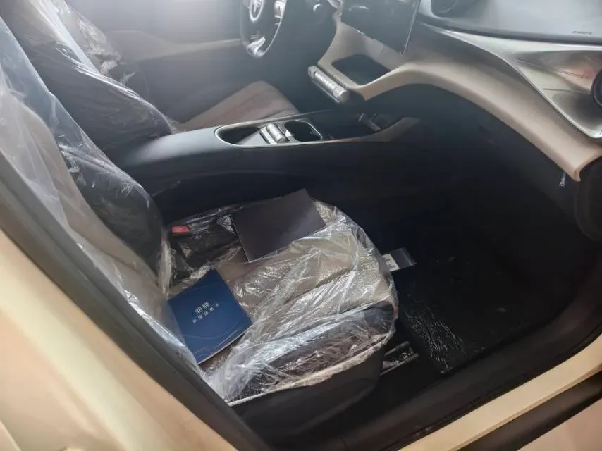 2025 BYD Dolphin BEV 45.12KWH,autocango,china used car exporter,china ev exporter,chinese used car exporter,chinese used ev exporter