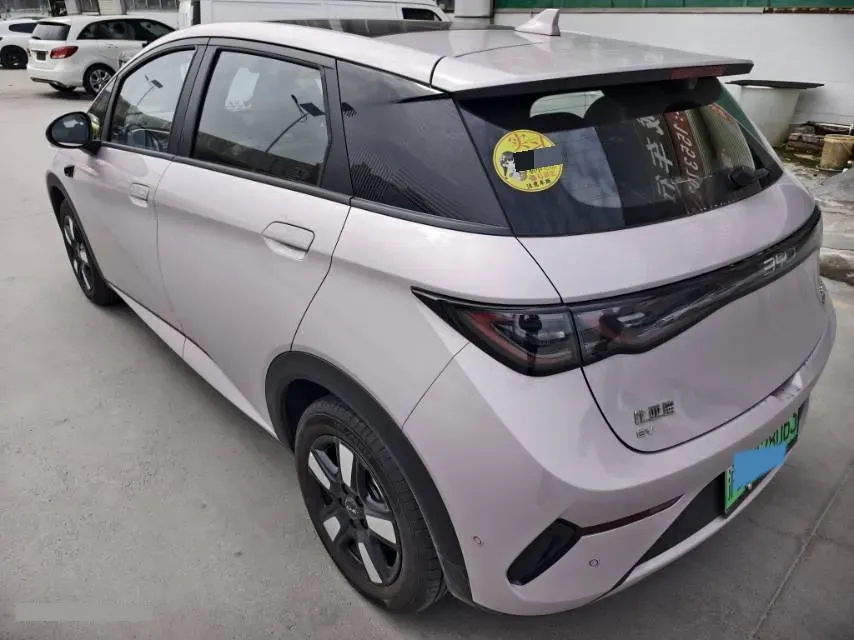 2025 BYD Dolphin BEV 45.12KWH,autocango,china used car exporter,china ev exporter,chinese used car exporter,chinese used ev exporter