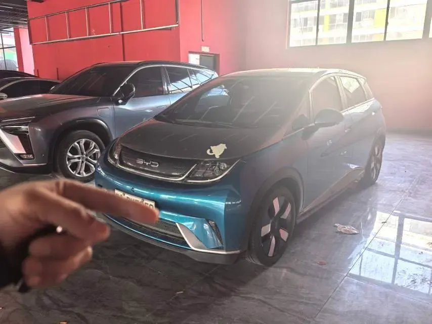 2021 BYD e2 BEV 43.2KWH,autocango,china used car exporter,china ev exporter,chinese used car exporter,chinese used ev exporter