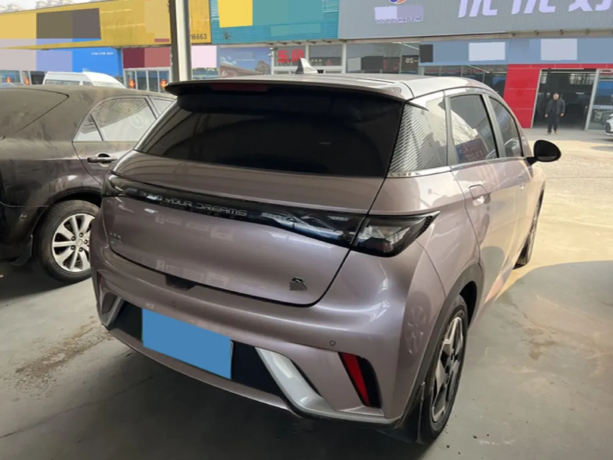 2021 BYD Yuan Pro BEV 50.1KWH,autocango,china used car exporter,china ev exporter,chinese used car exporter,chinese used ev exporter