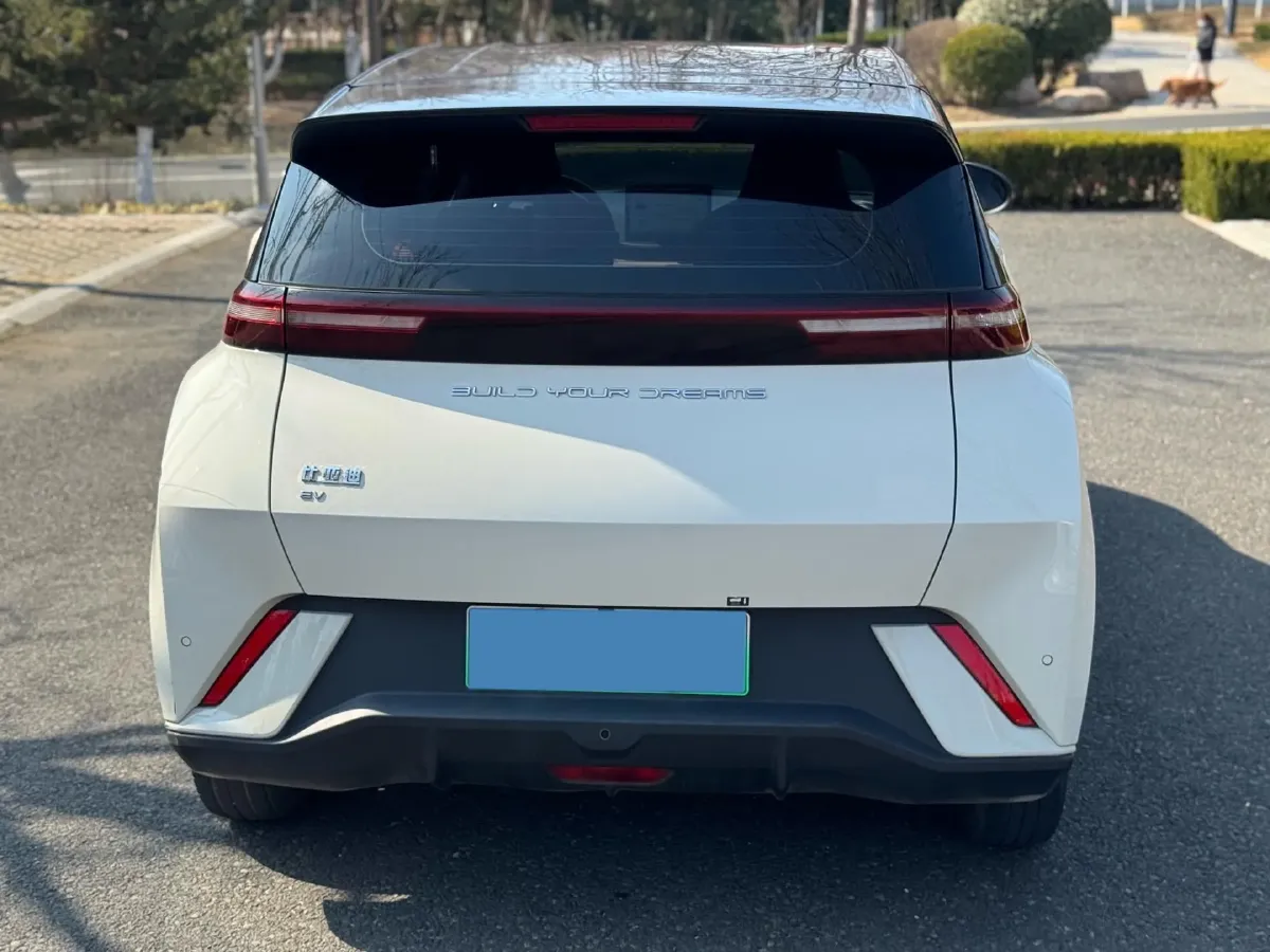 2023 BYD Seagull BEV 30.08KWH,autocango,china used car exporter,china ev exporter,chinese used car exporter,chinese used ev exporter