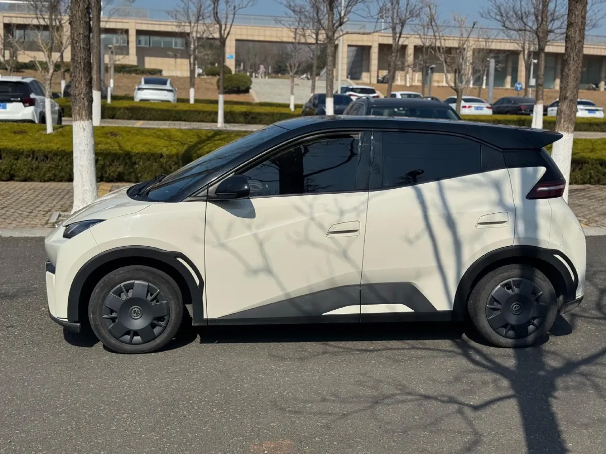 2023 BYD Seagull BEV 30.08KWH,autocango,china used car exporter,china ev exporter,chinese used car exporter,chinese used ev exporter