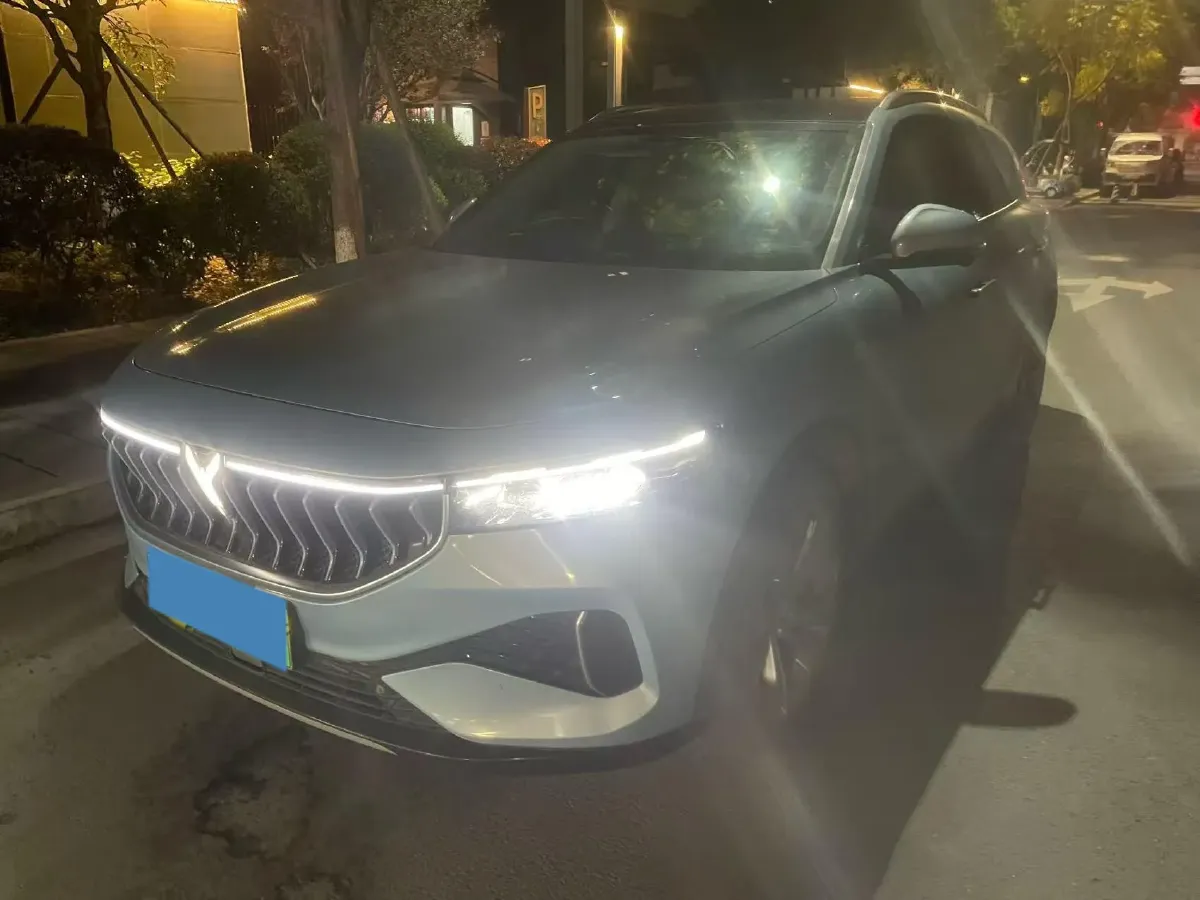 2021 Voyah FREE Range Extended 109HP REEV 33KWH,autocango,china used car exporter,china ev exporter,chinese used car exporter,chinese used ev exporter