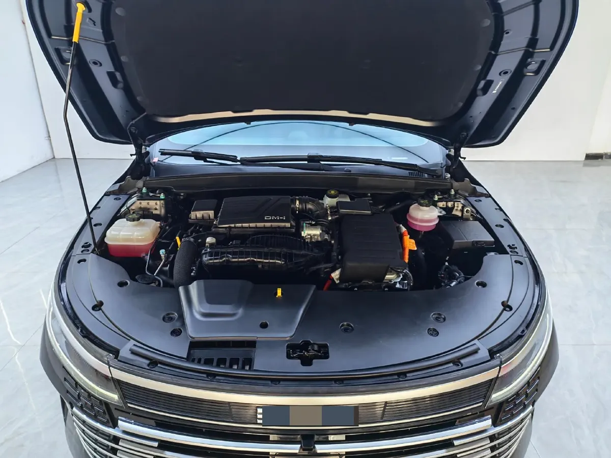 2024 BYD Destroyer 05 1.5L 110HP L4 E-CVT PHEV 8.3KWH,autocango,china used car exporter,china ev exporter,chinese used car exporter,chinese used ev exporter