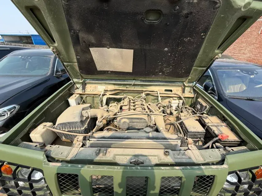 2019 BAW Warrior Pickup 2.4T 204HP L4 5MT,autocango,china used car exporter,china ev exporter,chinese used car exporter,chinese used ev exporter