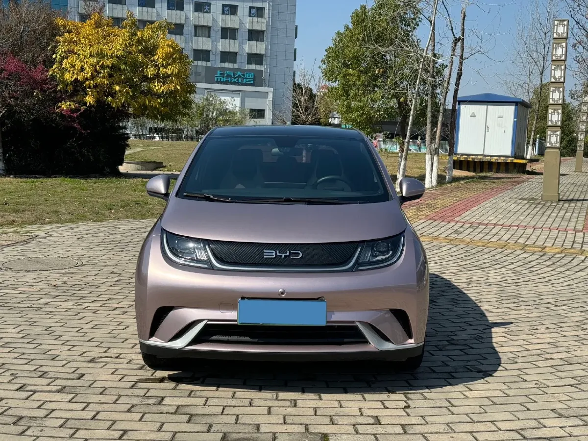 2021 BYD Yuan Pro BEV 50.1KWH,autocango,china used car exporter,china ev exporter,chinese used car exporter,chinese used ev exporter