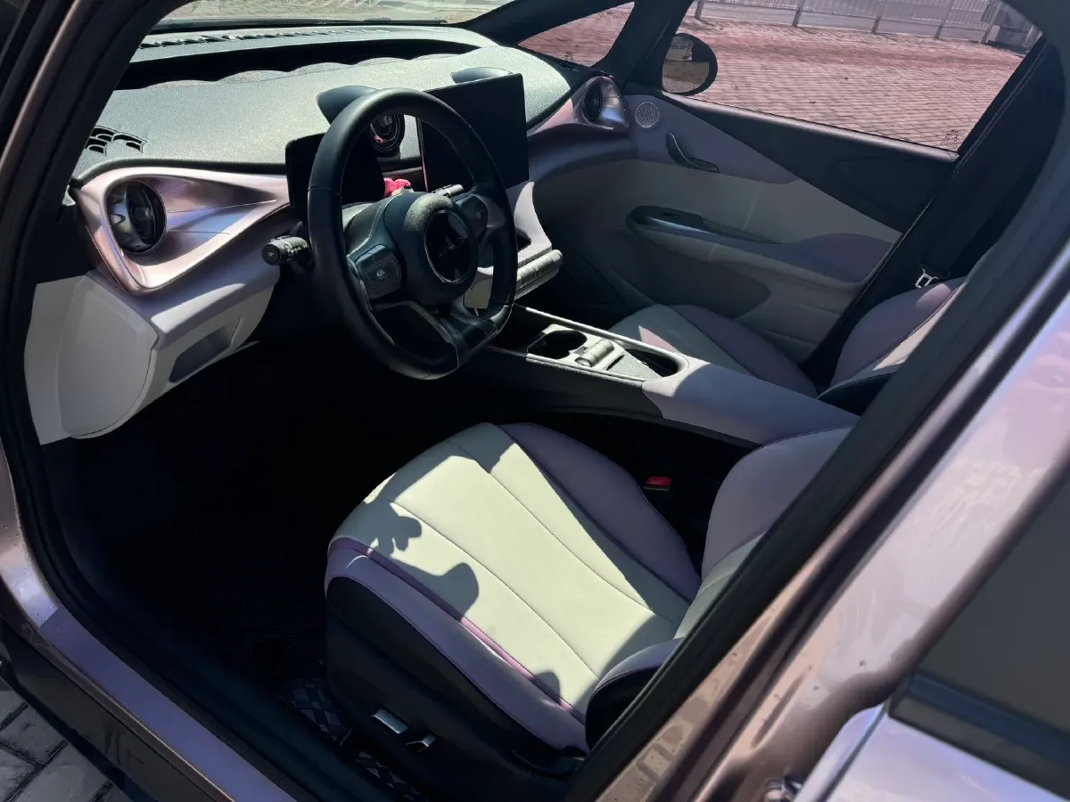 2021 BYD Yuan Pro BEV 50.1KWH,autocango,china used car exporter,china ev exporter,chinese used car exporter,chinese used ev exporter