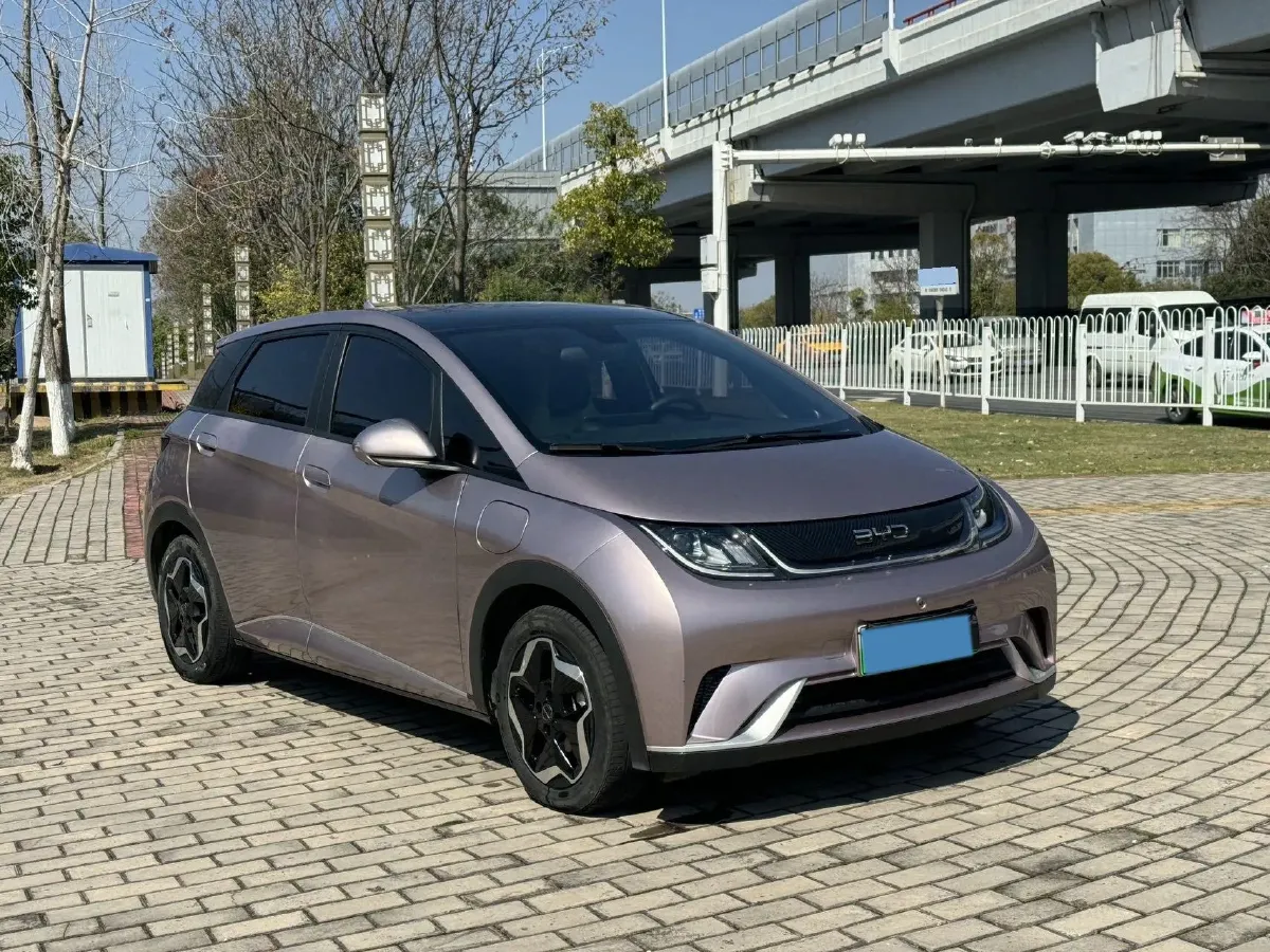 2021 BYD Yuan Pro BEV 50.1KWH,autocango,china used car exporter,china ev exporter,chinese used car exporter,chinese used ev exporter