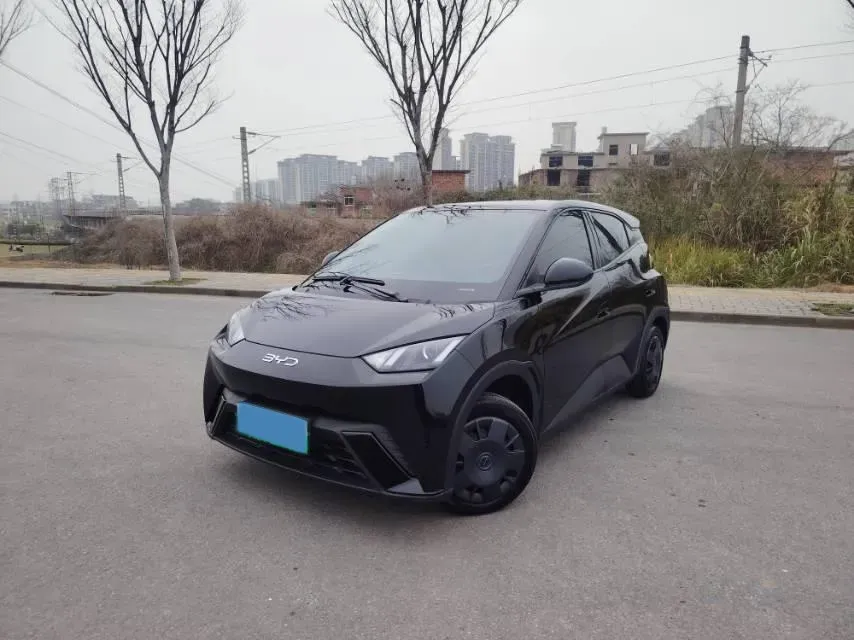 2024 BYD Seagull BEV 30.08KWH,autocango,china used car exporter,china ev exporter,chinese used car exporter,chinese used ev exporter