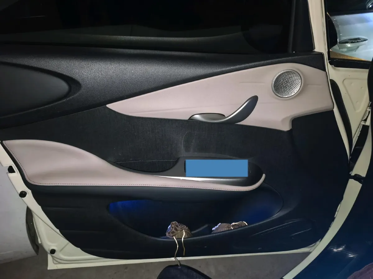 2025 BYD Dolphin BEV 45.12KWH,autocango,china used car exporter,china ev exporter,chinese used car exporter,chinese used ev exporter