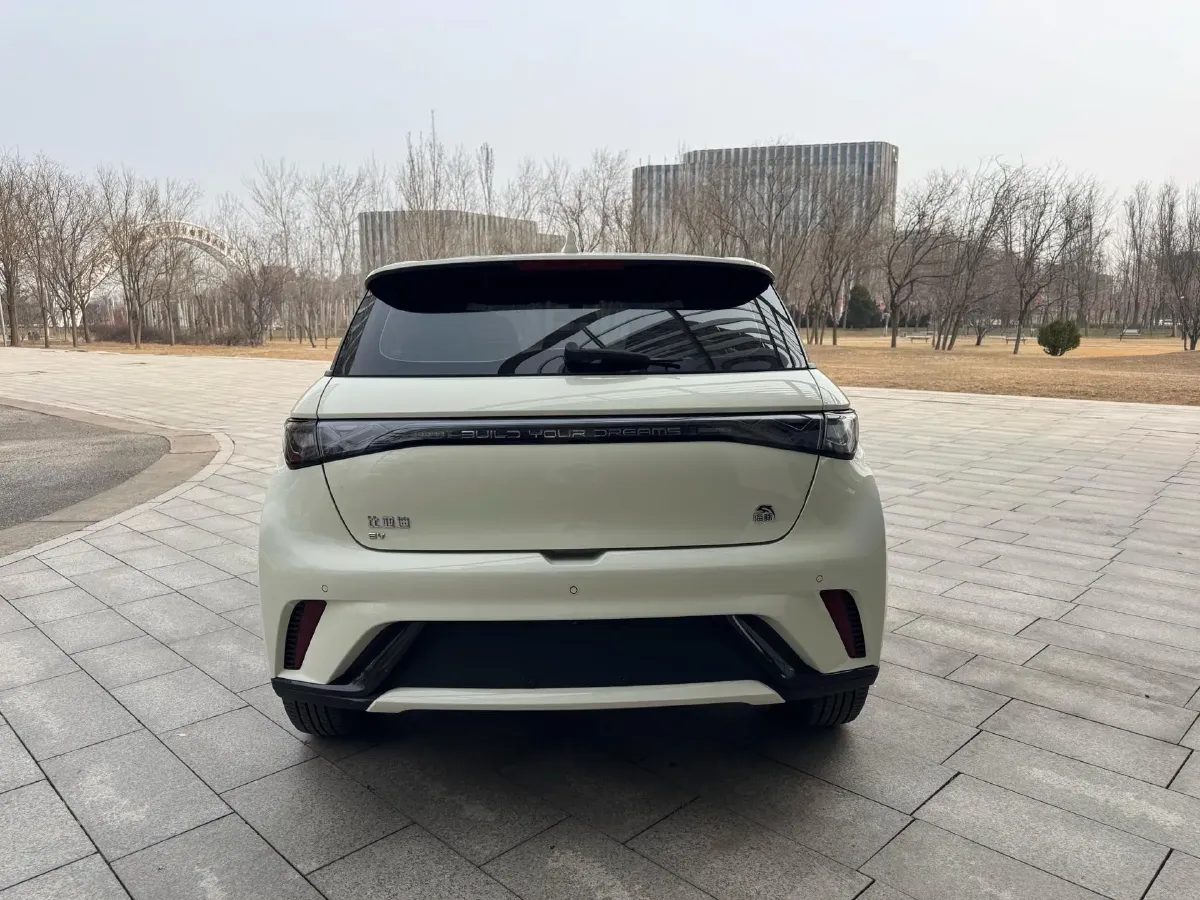 2023 BYD Dolphin BEV 44.928KWH,autocango,china used car exporter,china ev exporter,chinese used car exporter,chinese used ev exporter