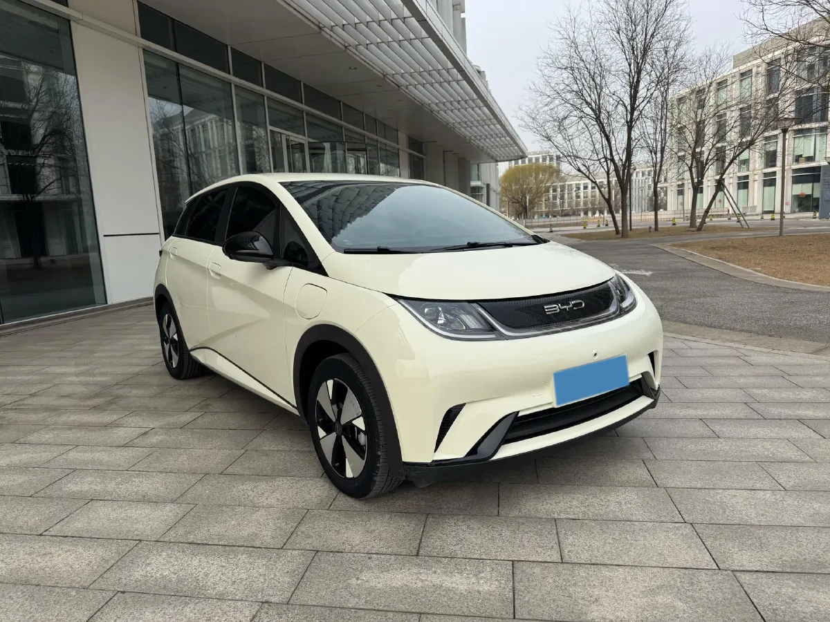 2023 BYD Dolphin BEV 44.928KWH,autocango,china used car exporter,china ev exporter,chinese used car exporter,chinese used ev exporter