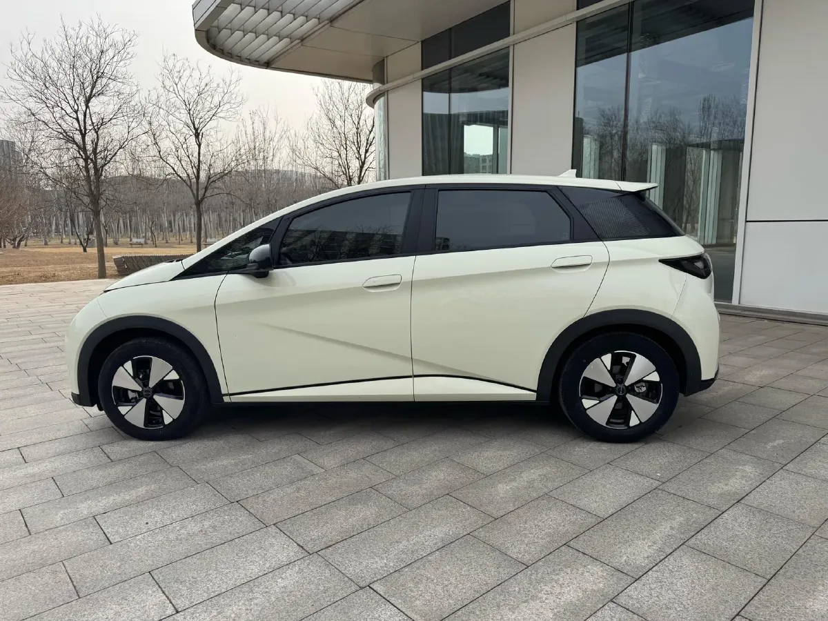 2023 BYD Dolphin BEV 44.928KWH,autocango,china used car exporter,china ev exporter,chinese used car exporter,chinese used ev exporter
