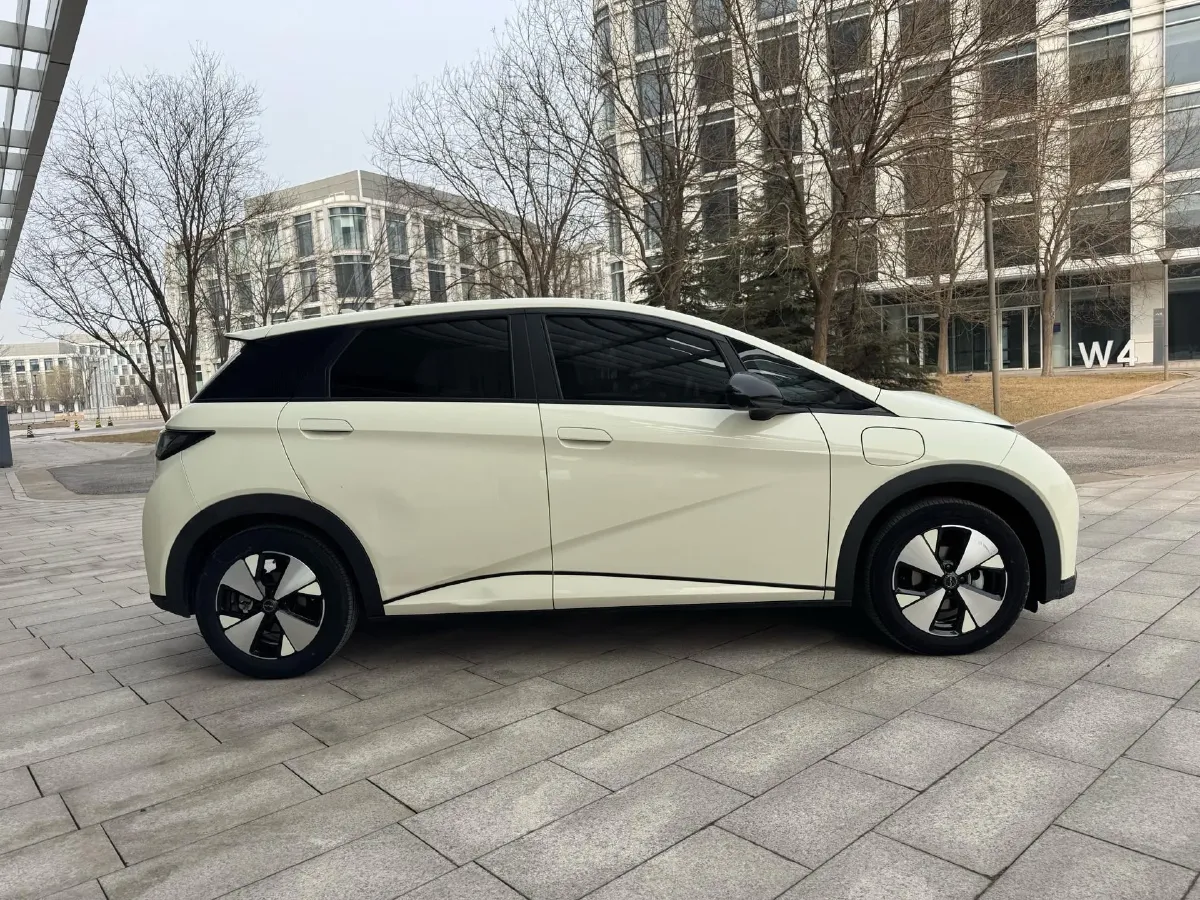 2023 BYD Dolphin BEV 44.928KWH,autocango,china used car exporter,china ev exporter,chinese used car exporter,chinese used ev exporter